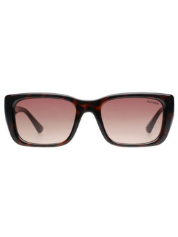 Tommy Hilfiger - Women Brown Lens Havana Square Sunglasses (TH1592) (53)