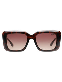 Tommy Hilfiger - Women Brown Lens Havana Square Sunglasses (TH1593) (52)