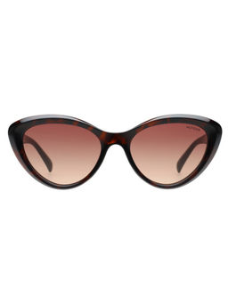 Tommy Hilfiger - Women Brown Lens Havana Cat eye Sunglasses (TH1594) (55)