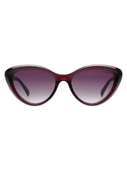 Tommy Hilfiger - Women Purple Lens Violet Cat eye Sunglasses (TH1594) (55)