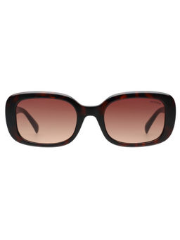 Tommy Hilfiger - Unisex Brown Lens Havana Square Sunglasses (TH1595) (53)
