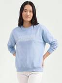 Blue color option, Currently selected