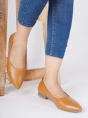 Tan 1
