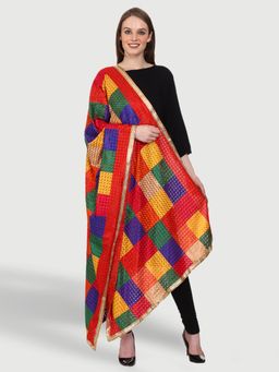 SWI STYLISH - Chiffon Multicolor Phulkari Dupatta