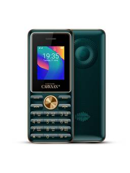 Saregama - Carvaan Mobile Keypad Phone Malayalam M11 with 1500 pre-Loaded Songs (Emerald Green)