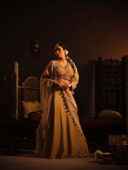 The Clothing Therapy - Brown Lehenga with Blouse and Dupatta (Set of 3)