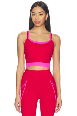 BEACH RIOT - Vinny Sports Bra