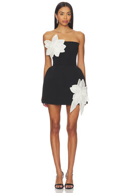 Bronx and Banco - Jasmine Maraya Mini Dress