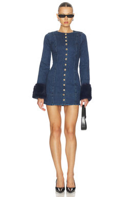 Show Me Your Mumu - Rockefeller Mini Dress