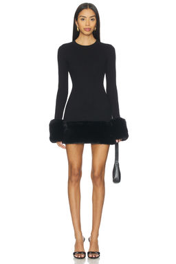 Show Me Your Mumu - Drescher Mini Dress