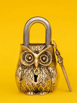 DecorTwist - Brass Owl Door Lock