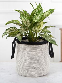 DecorTwist - Designer Grey & Black Braided Cotton Planter-Basket With Handle