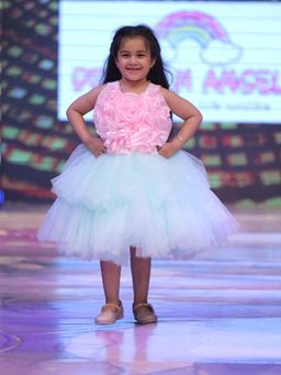 devils n angels - Girls Pink Net Self Design Dress with Hairclip