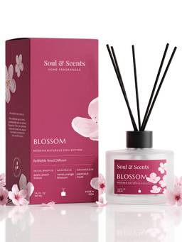 Soul & Scents - Blossom Reed Diffuser Set - 220ml Scented Oil with 6 Fiber Sticks