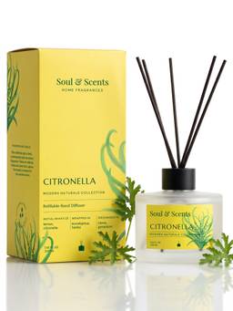 Soul & Scents - Citronella Reed Diffuser Set - 220ml Scented Oil with 6 Fiber Sticks