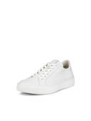 White color option, Sold out