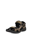 Brown color option, Sold out, Currently selected