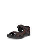 Brown color option, Sold out, Currently selected