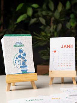 THE ZAPPY BOX - Grow Green Eco Calendar