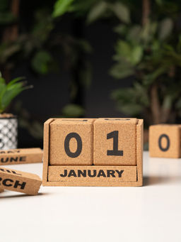 THE ZAPPY BOX - Earth Block Cork Calendar