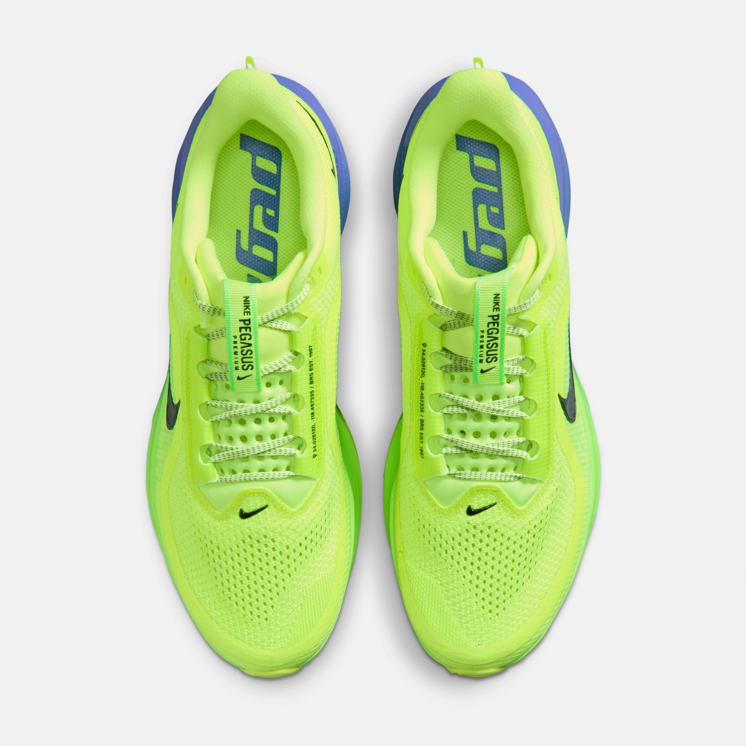 Buy Nike Pegasus Premium Men's Road Running Shoes Online | Nike India