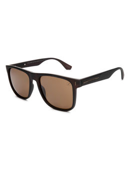 Chilli Beans - Men's Brown Lens Square Sunglasses -Occl48670202 (56)