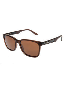 Chilli Beans - Men's Brown Lens Square Sunglasses -Oces15030202 (56)