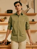 Olive color option, Currently selected