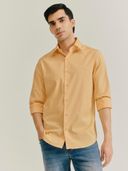 Mustard color option, Currently selected