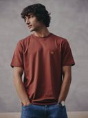 Brown color option, Currently selected