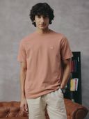 Peach color option, Currently selected