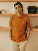 Rust color option, Currently selected