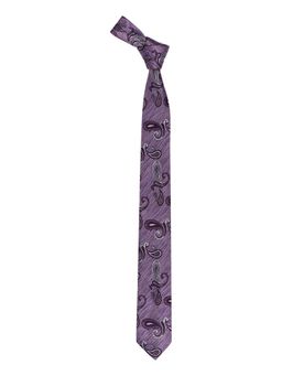 The Tie Hub - Lavender With Dark Purple & White Paisley Reversible Silk Necktie