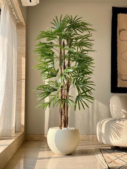 Mason Home - Artificial Rhaphis Palm Tree (6 Feet)