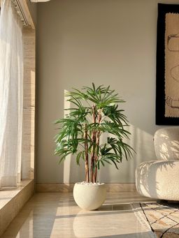 Mason Home - Artificial Rhaphis Palm Tree (4 Feet)