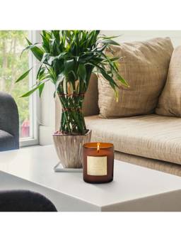 SEVA HOME - Signature Mandarin Scented Candle Gift Box Soy Wax Luxury Home Décor