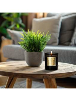 SEVA HOME - Signature Summertime Cedar Scented Candle Gift Box | Luxury Home Décor