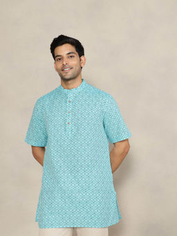 Fabindia - Blue Cotton Printed Comfort Fit Kurta