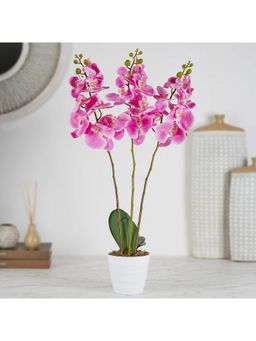 HomeTown - Ilana Artificial Orchid Potted Plant 55 cm In Pink Colour