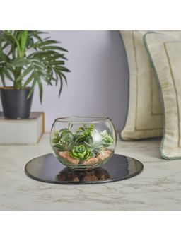 HomeTown - Fleur Glass Round Terranium 7 Cm in Green Colour