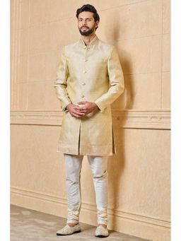 TASVA - Gold Classic Zari Jacquard Border Detailing Sherwani with Kurta and Churidar