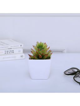 HomeTown - Ceramic Trapeze Bonsai, White