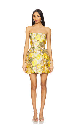 Bronx and Banco - Jasmine Maraya Mini Dress