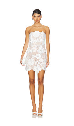 ELLIATT - Autumn Mini Dress