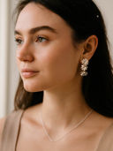 Silver color option, Currently selected