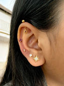 Mauve color option, Currently selected