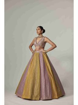 Vvani by Vani Vats - Multicolor Blouse with Skirt
