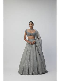 Vvani by Vani Vats - Crystal Grey Sequins Scattered Organza Lehenga with Blouse and Dupatta