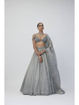 Vvani by Vani Vats - Crystal Grey Sequins Scattered Lehenga with Blouse and Dupatta
