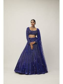Vvani by Vani Vats - Cocktail Blue Crystal Linear Embroidered Lehenga with Blouse and Dupatta